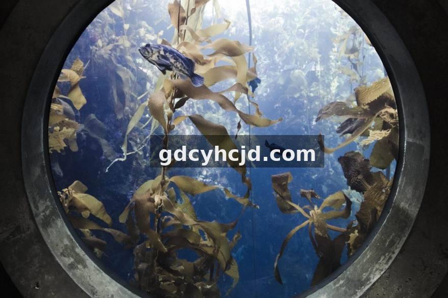 企鹅电竞选手档案 数据面板怎么看?企鹅电竞数据中心新手指南与赛季榜解读